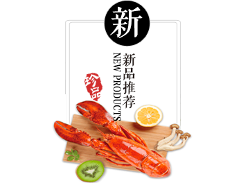 产品中心